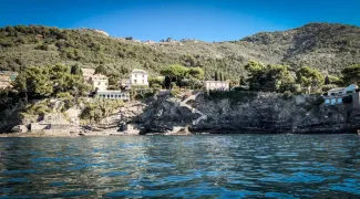 posidonia